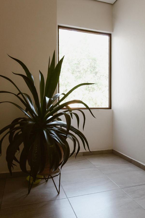 Hotel Guiva Aeropuerto Oaxaca Extérieur photo